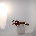 别墅 特里埃利斯别墅 *
